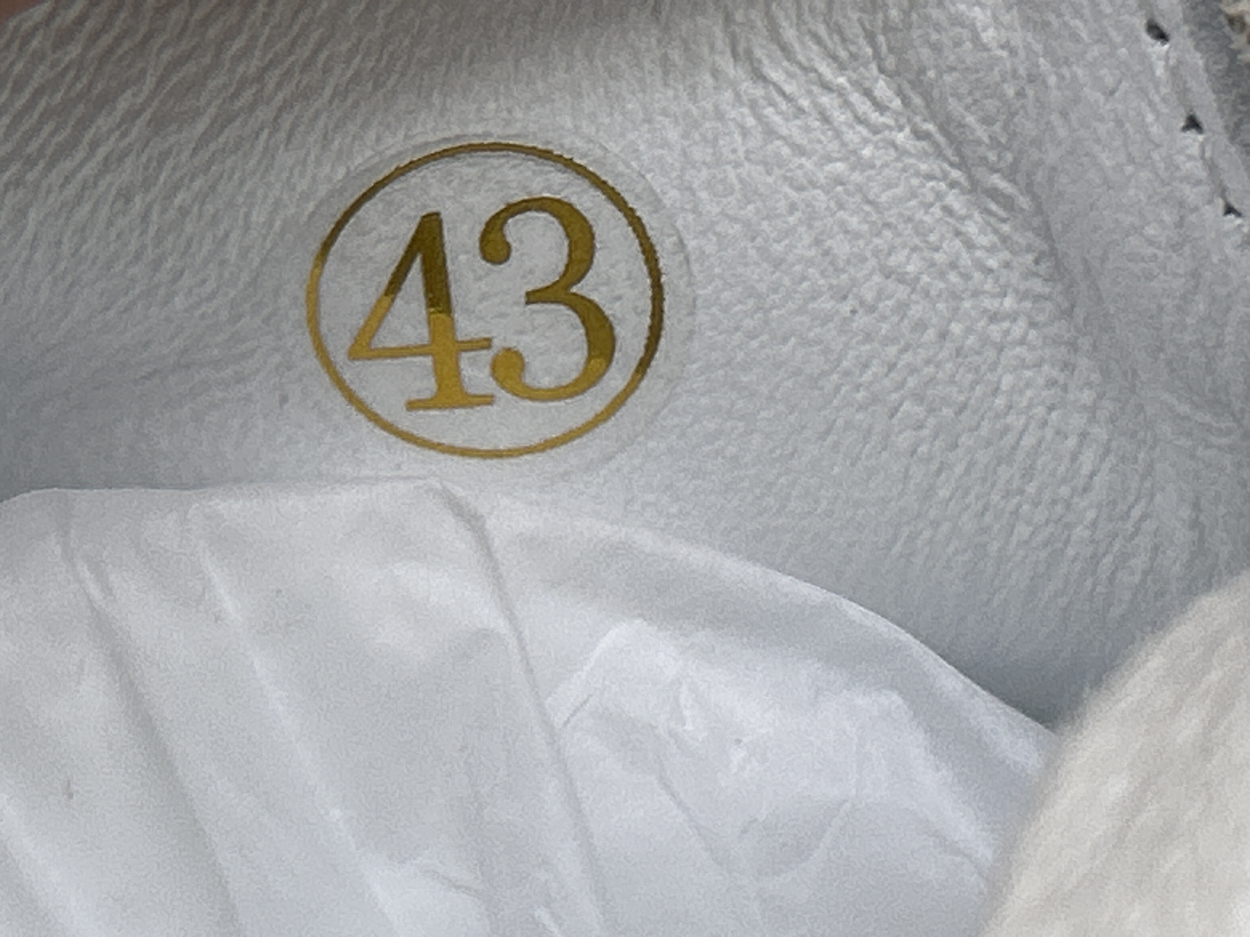 QC thumbnail 16